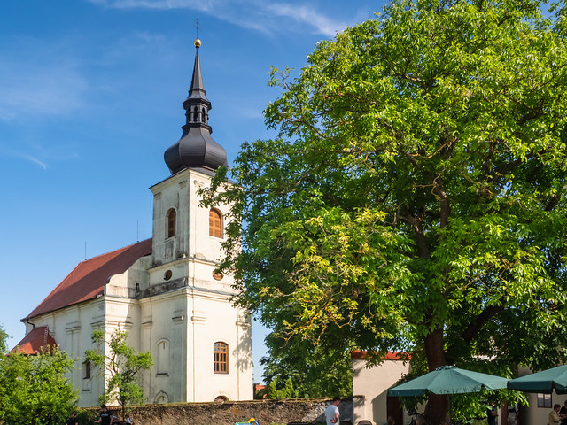 Děkovná mše svatá za blahořečení Jana Buly a Václava Drboly