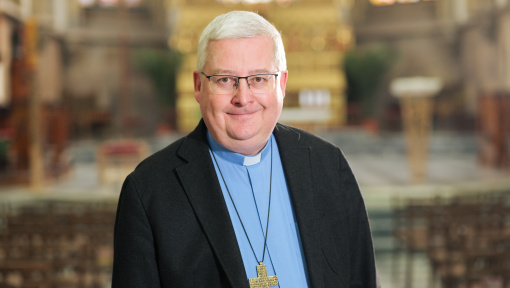 Náhledový obrázek