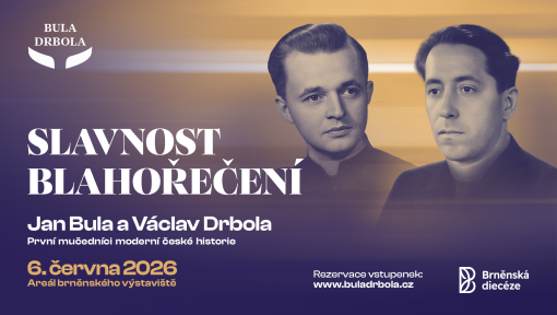 Náhledový obrázek