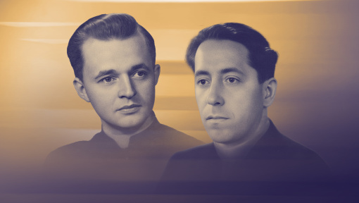 Náhledový obrázek