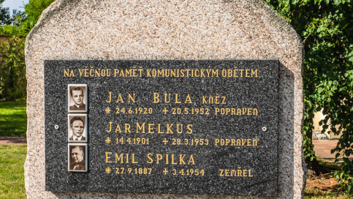 Náhledový obrázek