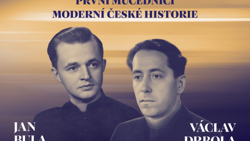 Náhledový obrázek