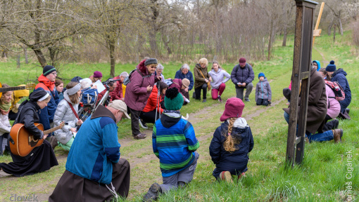 Náhledový obrázek