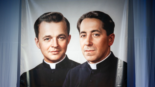 Náhledový obrázek